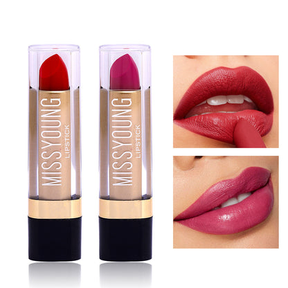 European and American Multi-Color Shimmer Matte Eye Shadow Blush High Gloss Lipstick Cosmetics Makeup Set